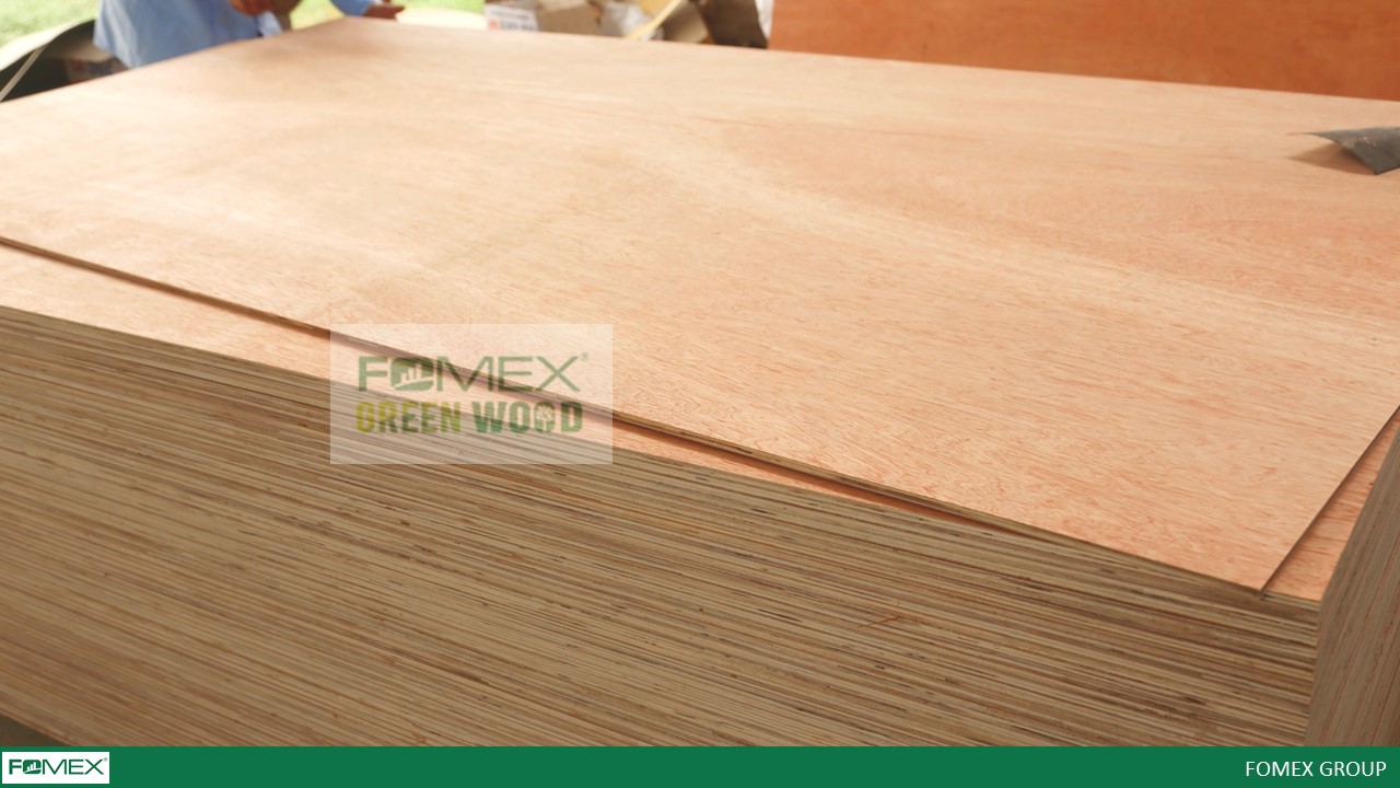IMPORT PLYWOOD FROM VIETNAM 5 THINGS ABOUT VIETNAMESE PLYWOOD